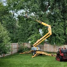 Best Landscape Design and Installation  in Fairview, GA